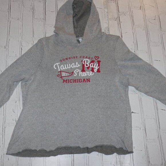 Tawas Bay MI Gray and pink Knit hooded sweater Size Large - Picture 1 of 6